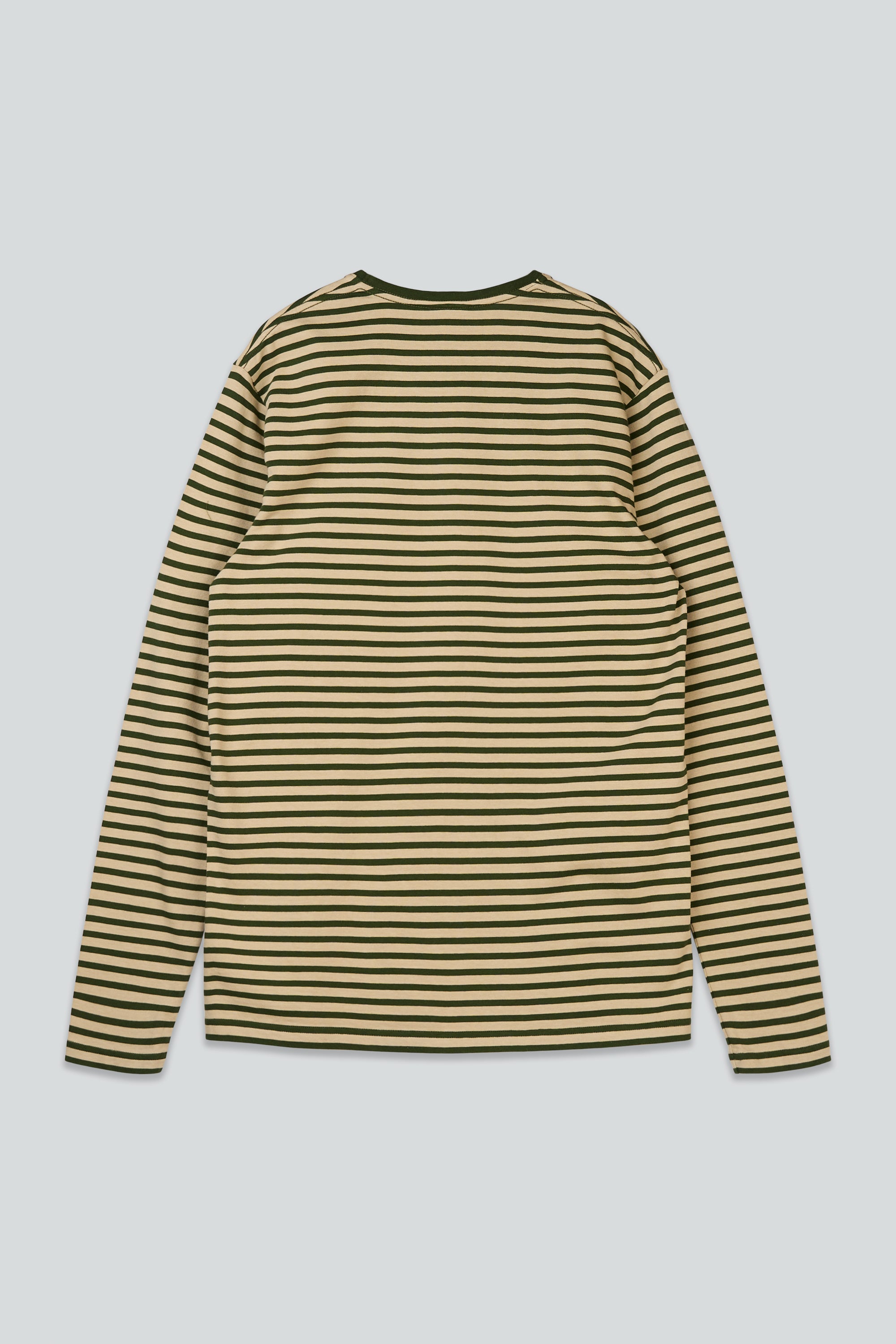 Ahoy! Mini Sea Parrot Surf - White Pepper/Riffle Green