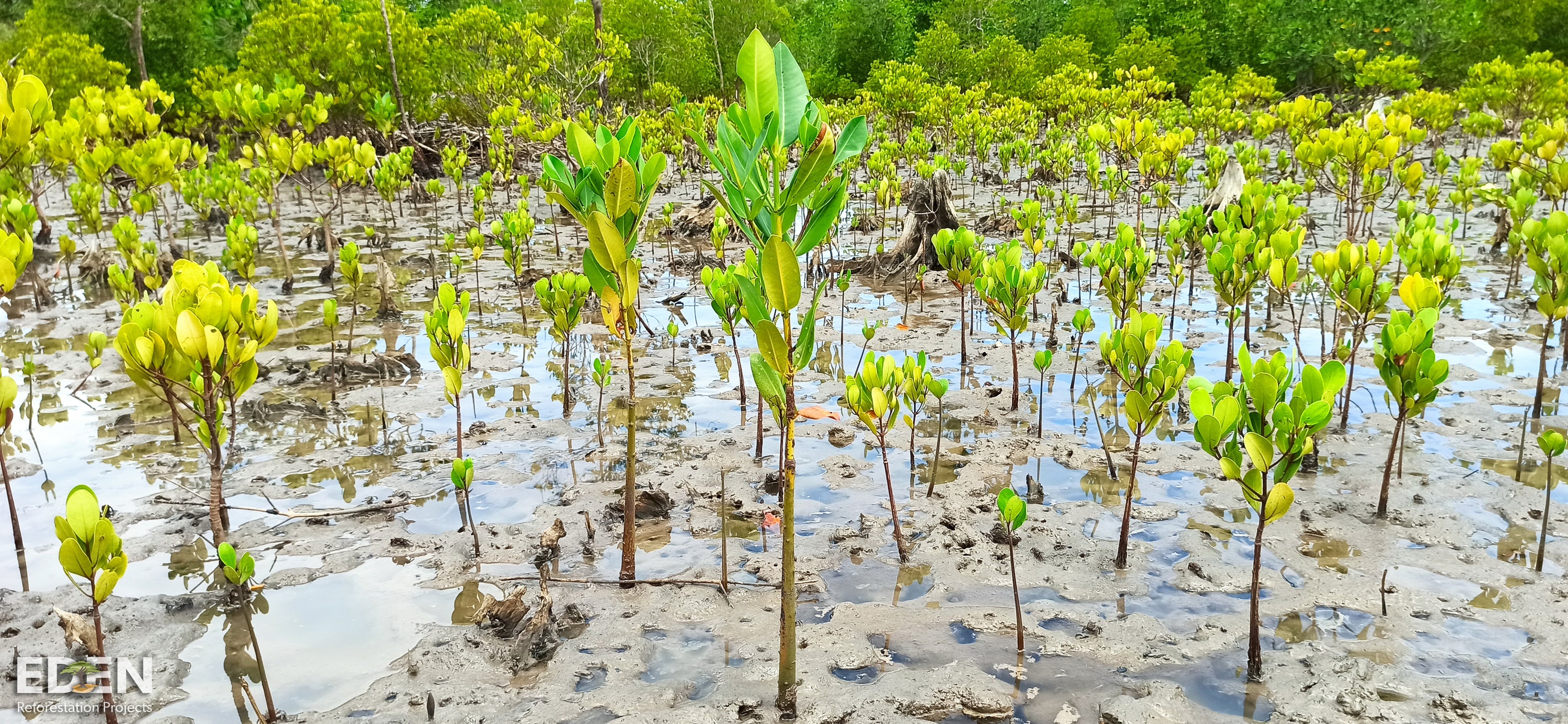 LAKOR slideshow image