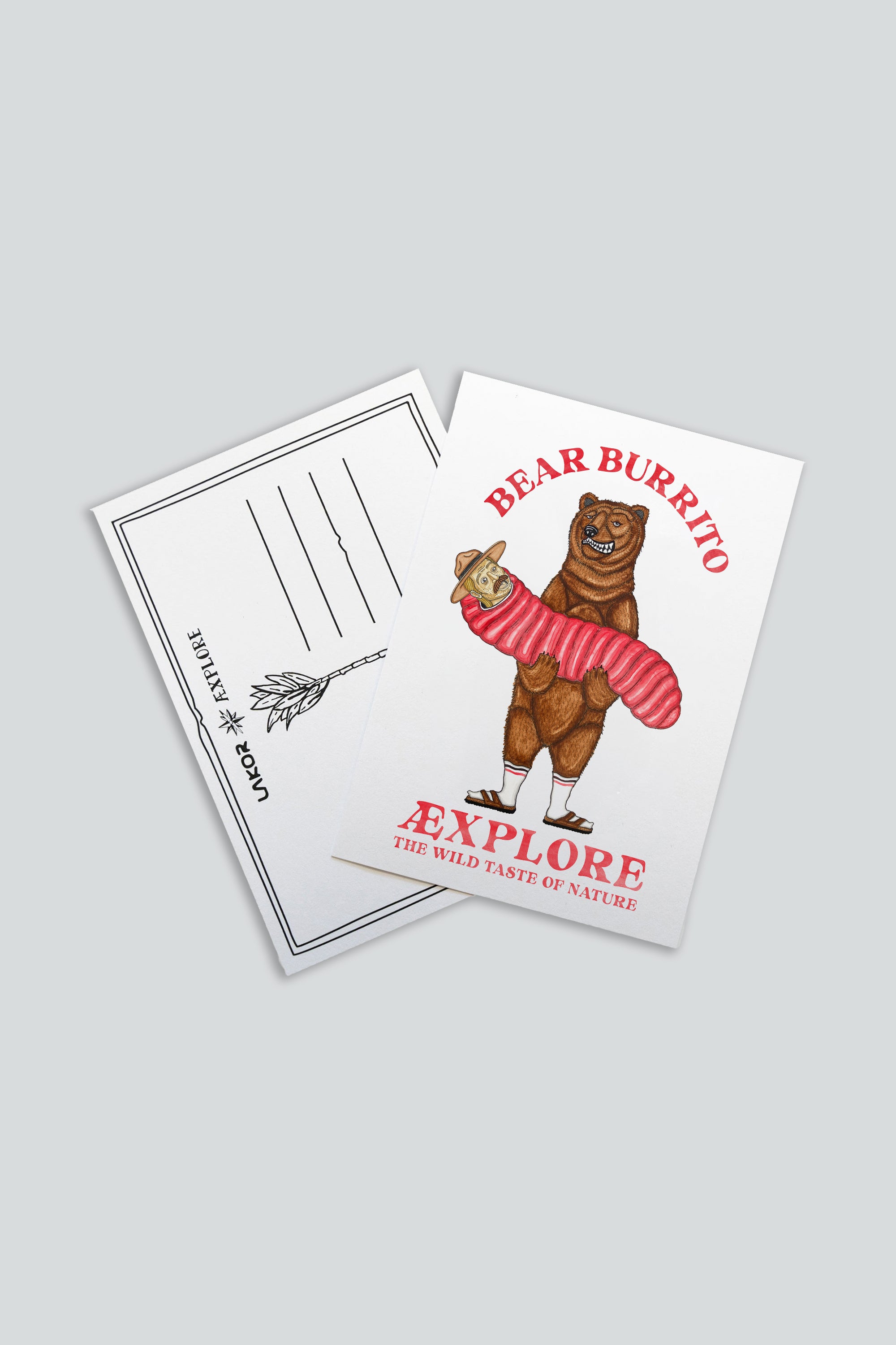 Bear Burrito Postkarte
