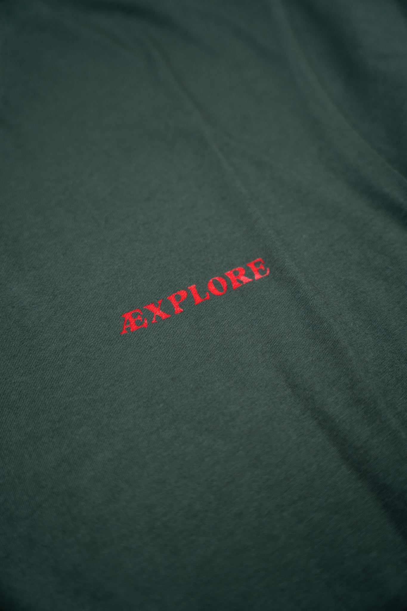 LAKOR Bear Burrito T-shirt T-Shirt Green Gables