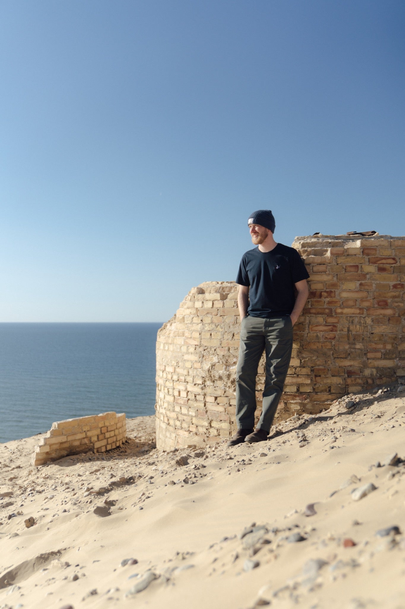 LAKOR Mini Flying Woodpecker T-shirt T-Shirt Blueberry