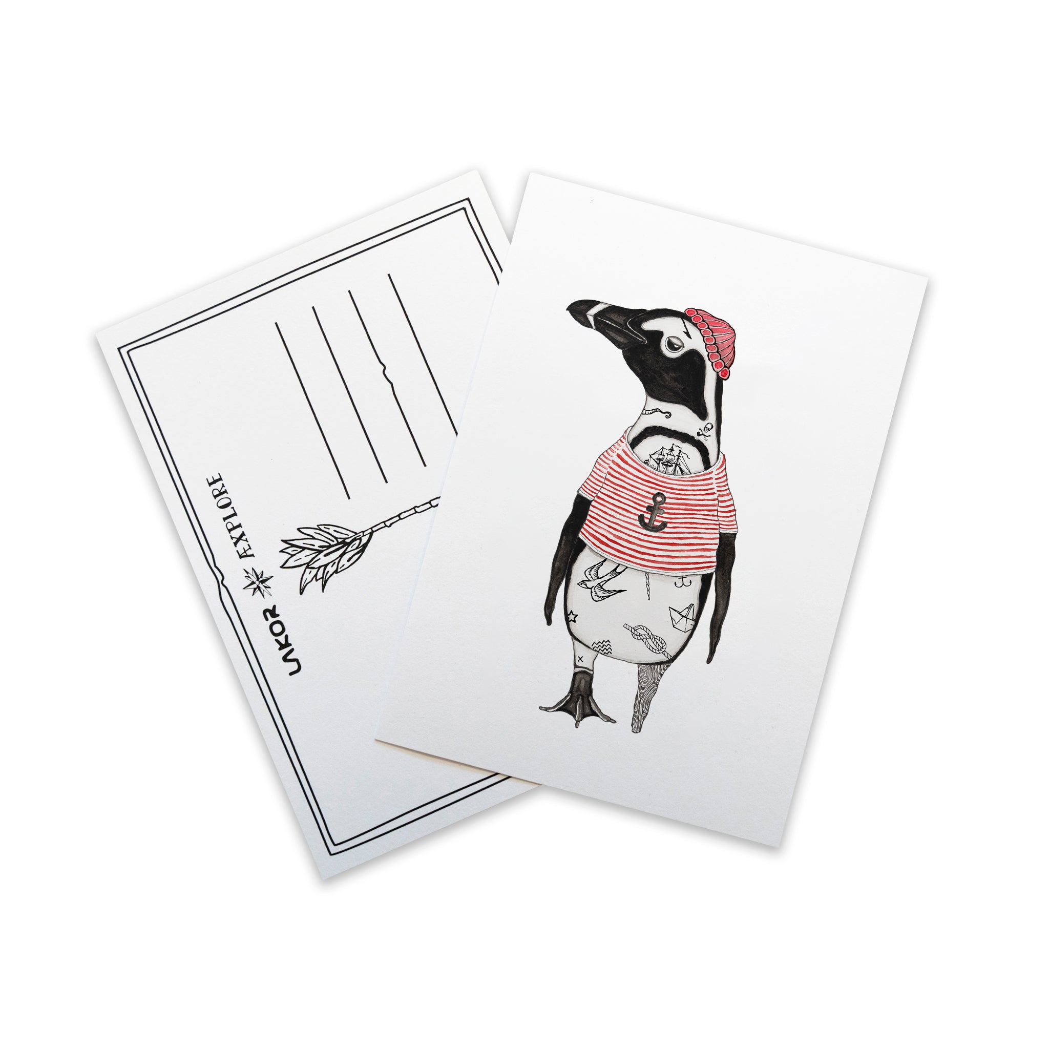 African Penguin Postkarte